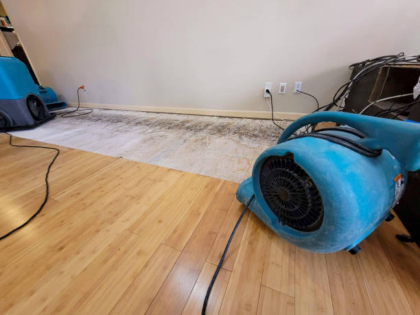 Professional Emergency Water Damage technician working in Petersburg, KY